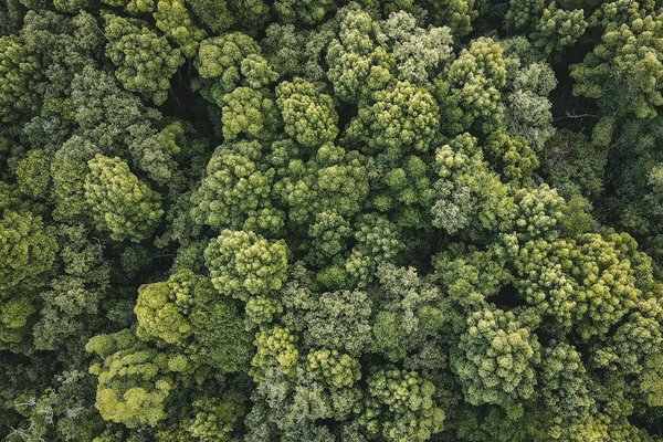 Les incontournables de l'actualité kdrama à découvrir cette saison